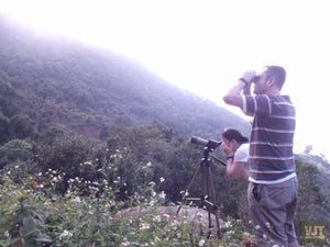 Spotting Wildlife On Monkey Mountain Jeep Tours VJT Adventures 