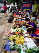 Load image into Gallery viewer, Vietnam - Laos Border Crossing Road Trips VJT Adventures 
