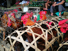 Load image into Gallery viewer, Vietnam - Laos Border Crossing Road Trips VJT Adventures 
