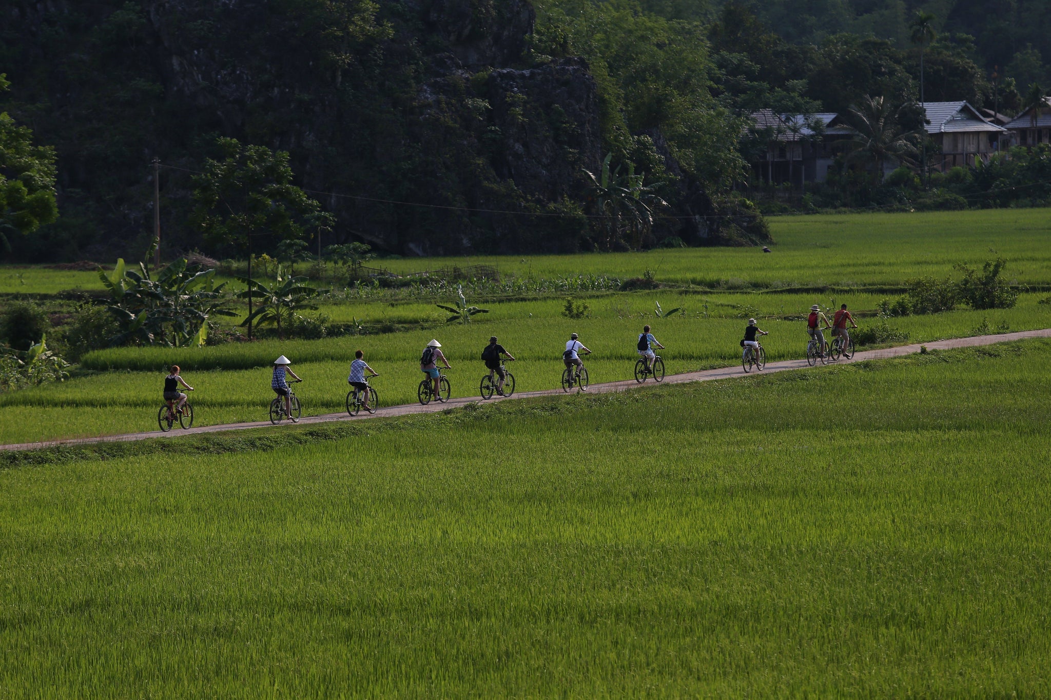 Crossing the Road in Vietnam - Up in the Nusair